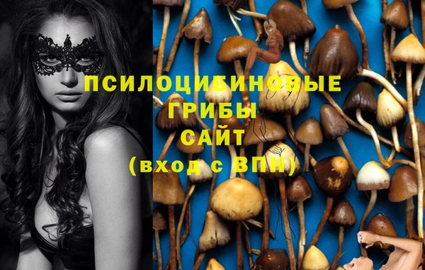 MDMA Premium VHQ Елабуга