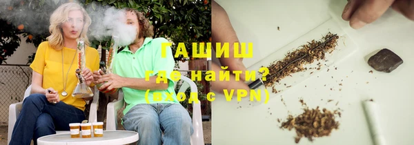 ГАЛЛЮЦИНОГЕННЫЕ ГРИБЫ Ельня