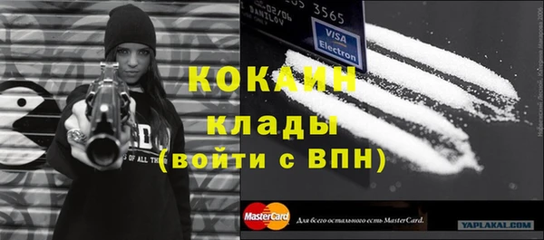 ГАЛЛЮЦИНОГЕННЫЕ ГРИБЫ Ельня