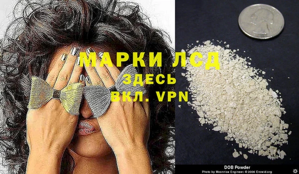 ГАЛЛЮЦИНОГЕННЫЕ ГРИБЫ Ельня