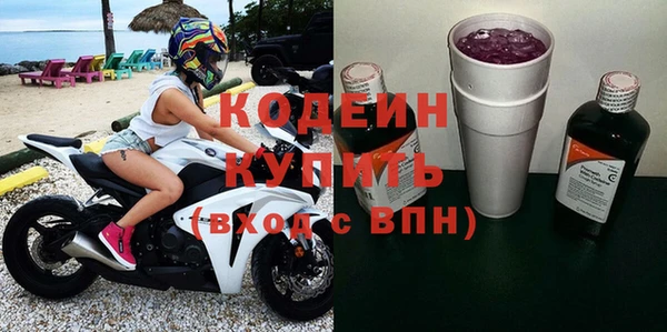 ГАЛЛЮЦИНОГЕННЫЕ ГРИБЫ Ельня
