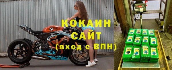 ГАЛЛЮЦИНОГЕННЫЕ ГРИБЫ Ельня