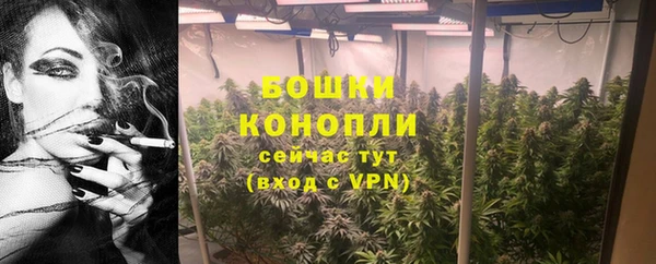 ГАЛЛЮЦИНОГЕННЫЕ ГРИБЫ Ельня