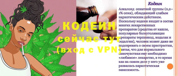 ГАЛЛЮЦИНОГЕННЫЕ ГРИБЫ Ельня