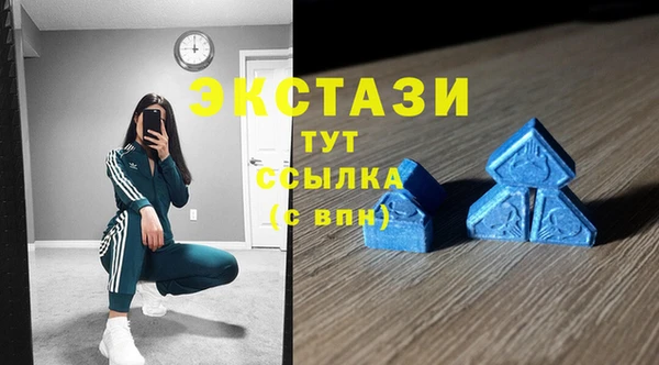 ГАЛЛЮЦИНОГЕННЫЕ ГРИБЫ Ельня