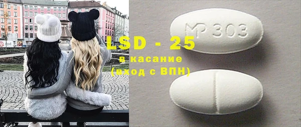 ГАЛЛЮЦИНОГЕННЫЕ ГРИБЫ Ельня