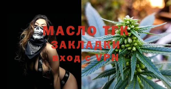 ГАЛЛЮЦИНОГЕННЫЕ ГРИБЫ Ельня