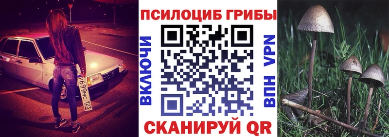 Галлюциногенные грибы ЛСД  Купить где  Добрянка 